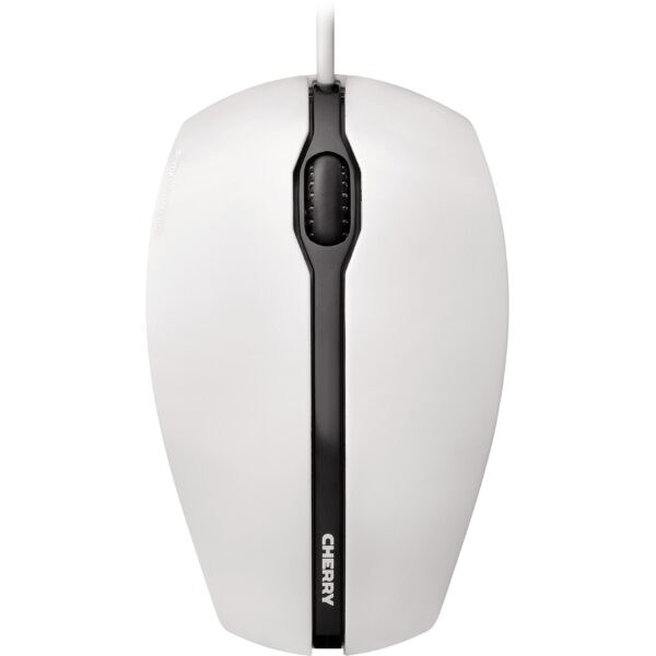 CH305 20190827174059 1 scaled